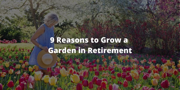 9 Reasons to Grow a Garden in Retirement