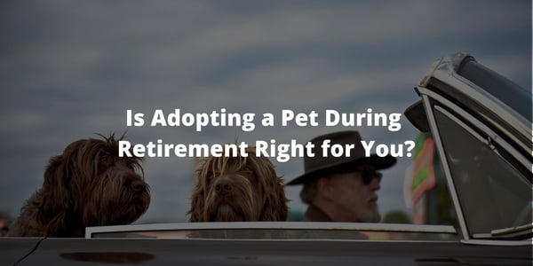 Is Adopting a Pet During Retirement Right for You?