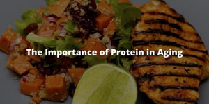 The Importance of Protein in Aging