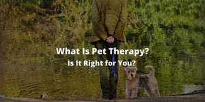 What Is Pet Therapy? Is It Right for You?