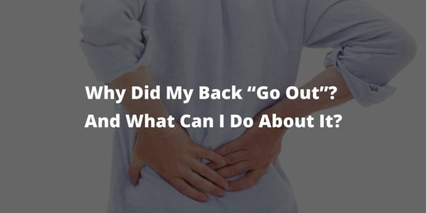 Why Did My Back “Go Out”? And What Can I Do About It?