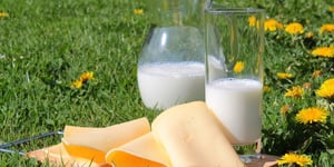 Calcium and Aging: How to Ensure You Are Getting Enough