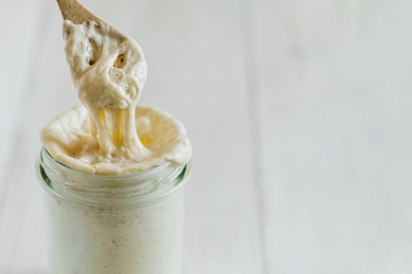 How to Make Homemade Sourdough Bread, Part 1: Making Your Sourdough Starter