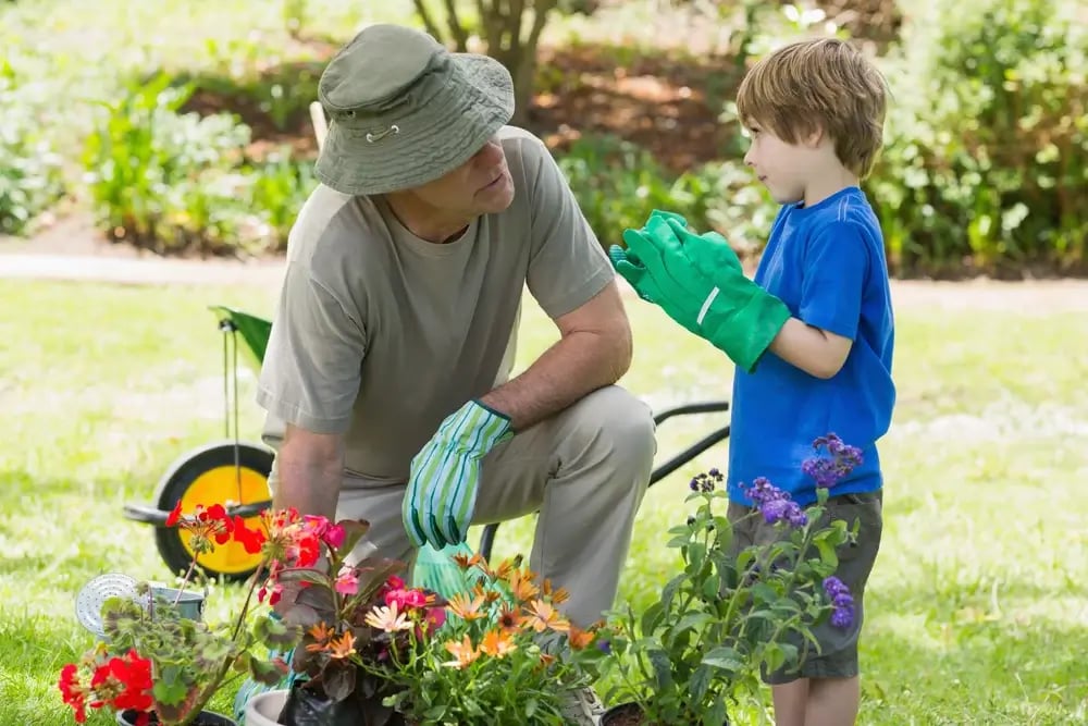 View of a grandfather and grandson engaged in gardening (1)
