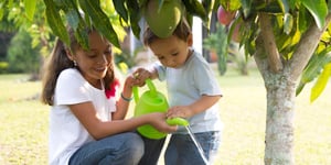 Teaching Generosity: Instilling Values of Giving in Your Children
