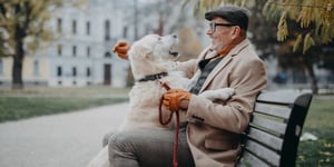 14 Benefits of Pet Fostering in Retirement