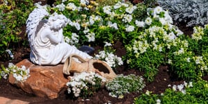 Creating a Memory Garden: Honoring Loved Ones with Plants